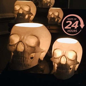 Glowing Skull Set (5), Spooky Decor, Unique Planter, Light up Skull, Gothic Home Decor Skull, Unique Halloween Decorations