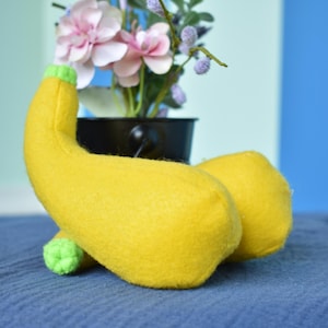 3 Felt Crookneck Squash