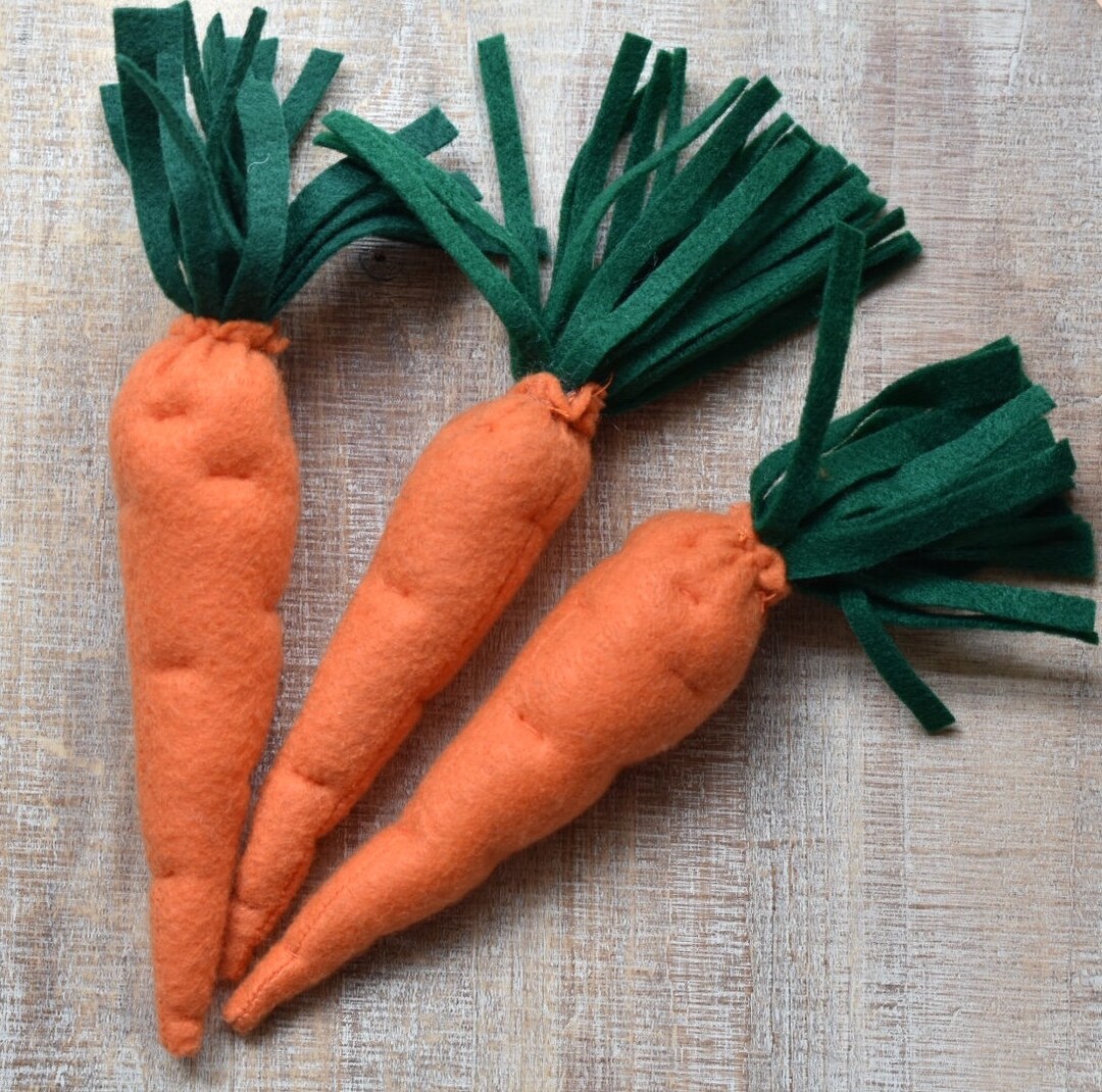 Felt Carrot - Etsy