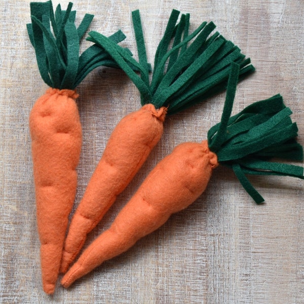Felt Carrots Etsy