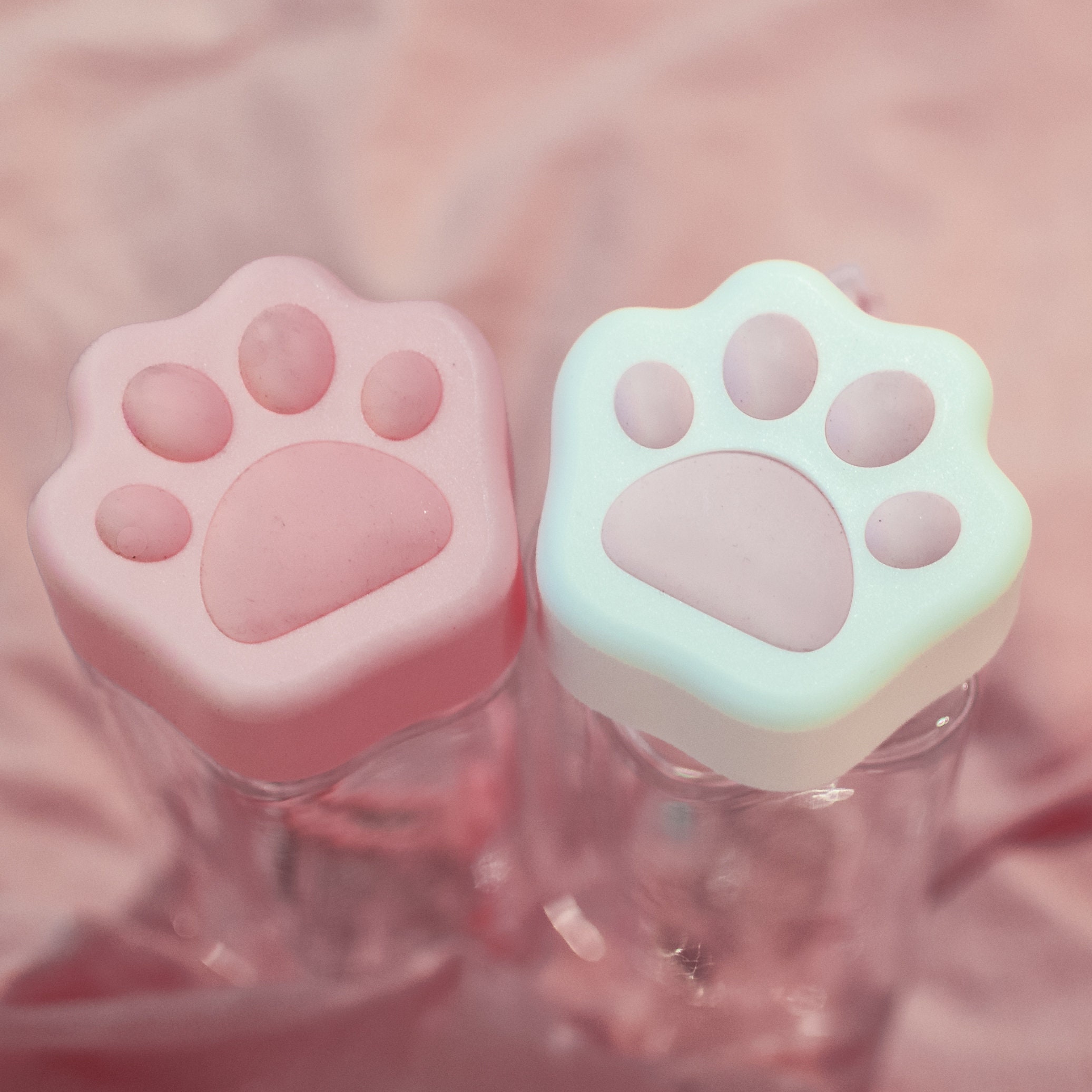Cat Paw Water Bottles Japanese special edition BPA free cute Etsy