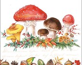 Mushrooms Paper Napkin Serviette For Decoupage Scrapbooking Paper Crafts 530