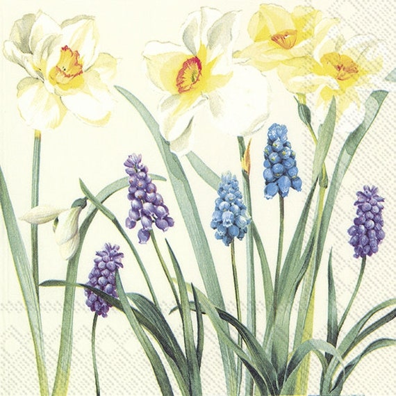Fleurs de printemps Crème Narcisse Nain Hyacynth Papier - Etsy Canada
