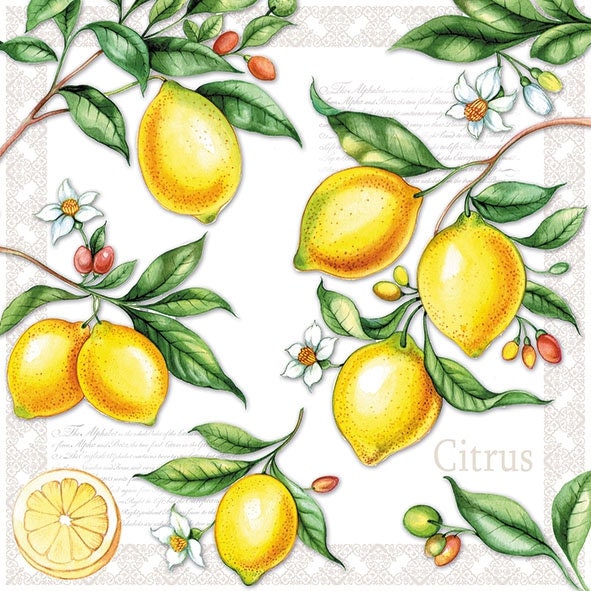 Citrus Lemons Fruit Paper Napkin Serviette for Decoupage - Etsy UK