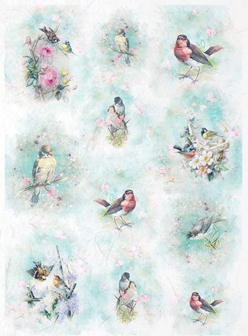 Rice Paper Poppy and Birds Scrapbook Sheet Craft for Decoupage 