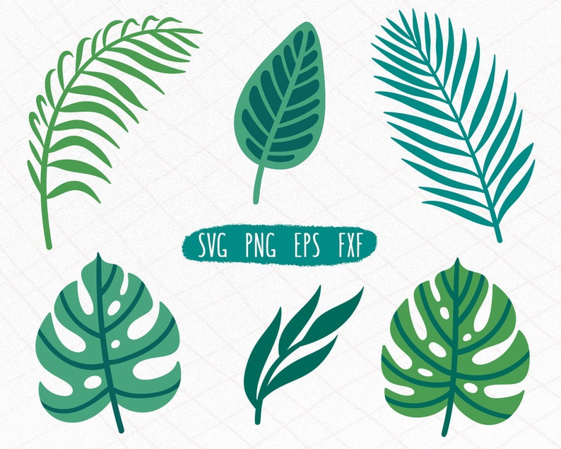 Palm Leaves Svg Summer Leaves Floral Silhouettes Circuit Etsy