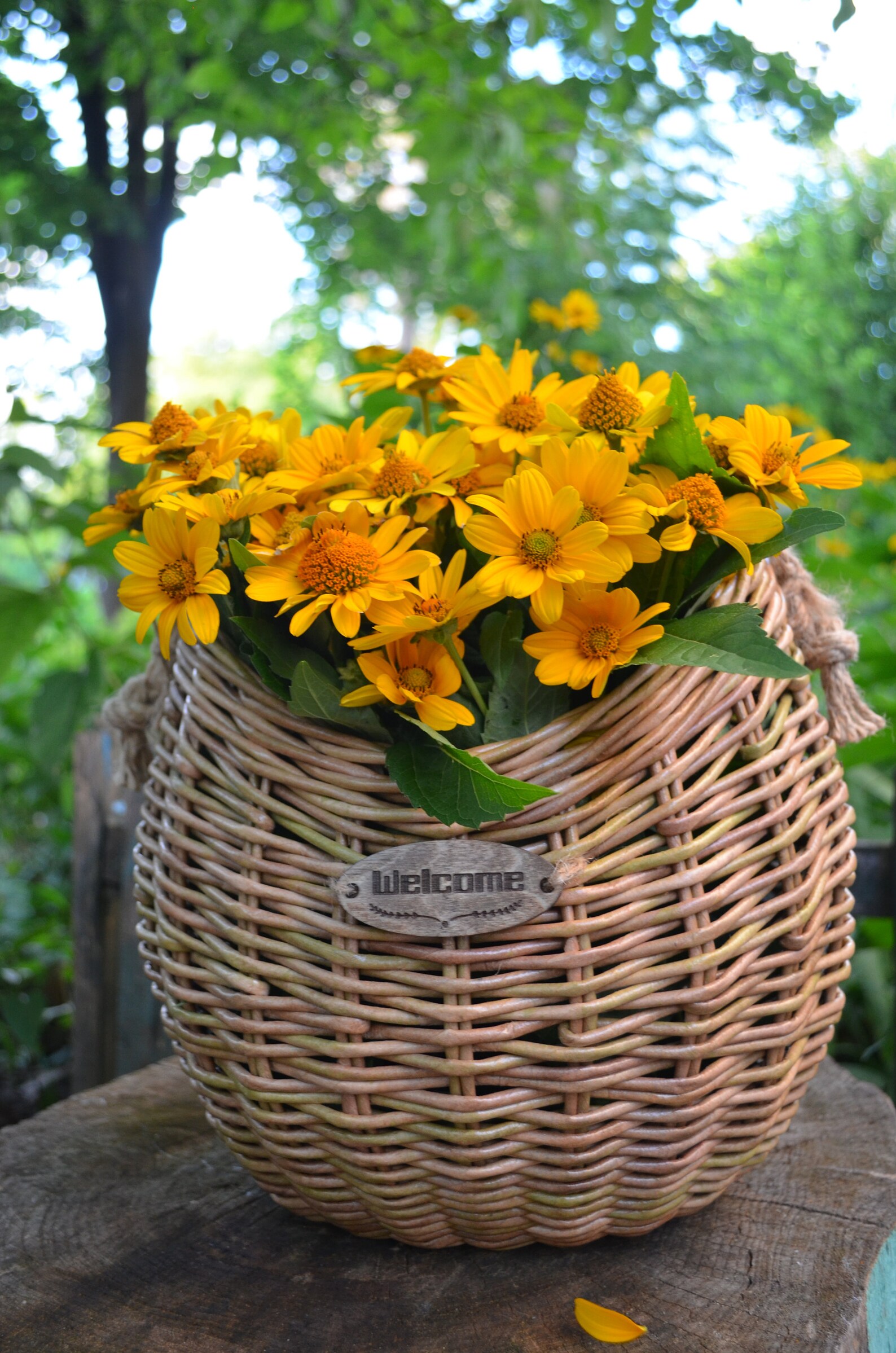 Wall Hanging Storage Basket Rustic Door Basket Wall Basket for Etsy