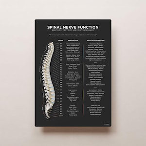 Puede incluir: Un diagrama en blanco y negro de la columna vertebral humana con etiquetas para cada nervio espinal y su inervación y síntomas asociados. El diagrama muestra los nervios espinales y su conexión a diferentes partes del cuerpo.