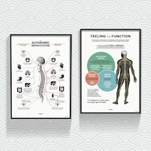 May include: Two black framed posters with white backgrounds and black text. The poster on the left shows a diagram of the autonomic nervous system with the text "The Autonomic Nervous System". The poster on the right shows a diagram of the human body with the text "Feeling vs Function" and "There are 3 Types of Nerves".