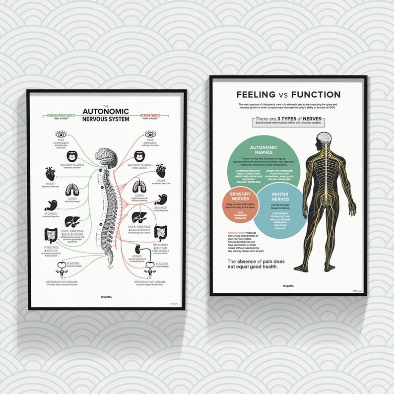 May include: Two black framed posters with white backgrounds and black text. The poster on the left shows a diagram of the autonomic nervous system with the text "The Autonomic Nervous System". The poster on the right shows a diagram of the human body with the text "Feeling vs Function" and "There are 3 Types of Nerves".