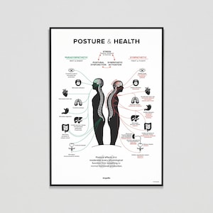 POSTURE & HEALTH