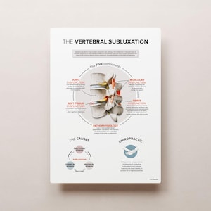 The Vertebral Subluxation