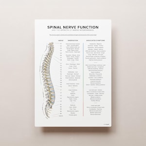 Puede incluir: Un gráfico anatómico blanco y gris que ilustra la función de los nervios espinales y los efectos de la interferencia nerviosa. El gráfico muestra la médula espinal y los nervios que se ramifican de ella. El gráfico también incluye una lista de los nervios y sus síntomas asociados.