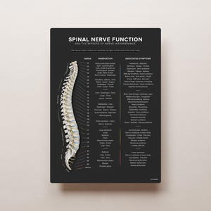May include: A black and white diagram of the human spine with labels for each spinal nerve and its associated innervation and symptoms. The diagram shows the effects of nerve interference on different parts of the body.