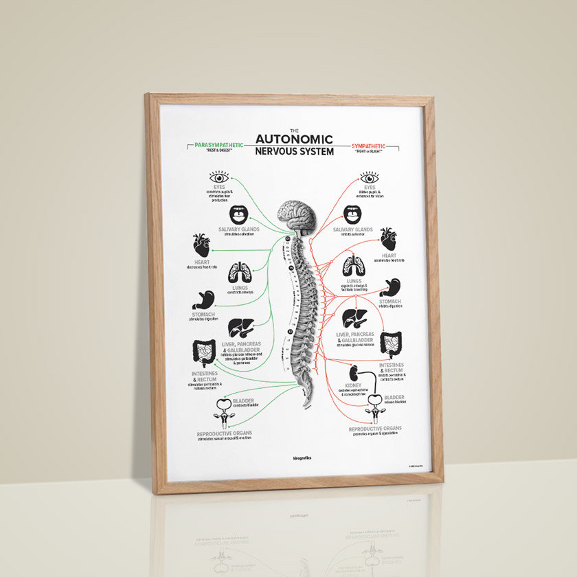 The Autonomic Nervous System ICON X DARK - Etsy