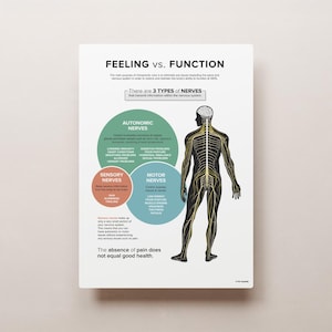 Feeling vs. Function