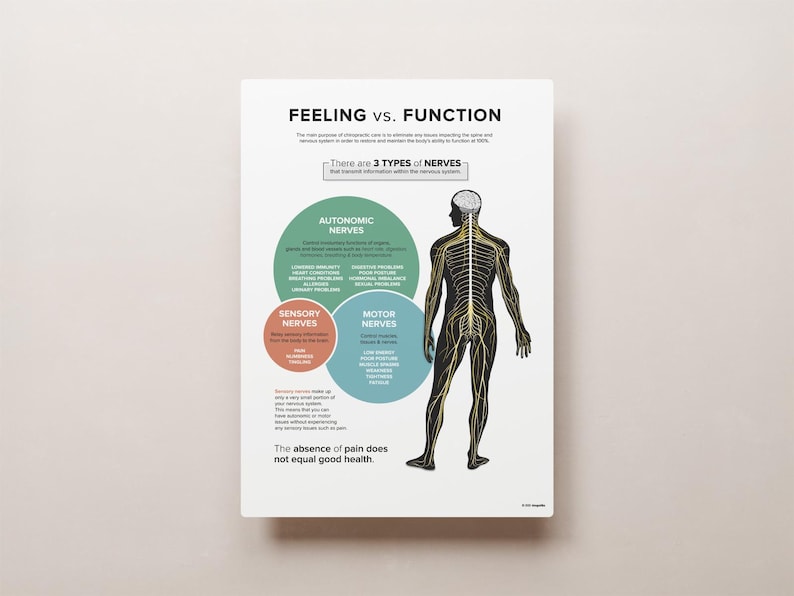May include: A diagram illustrating the three types of nerves in the human body: autonomic, sensory, and motor. The diagram shows a human figure with a highlighted nervous system and three circles representing the different types of nerves. The text "There are 3 TYPES of NERVES" and "The absence of pain does not equal good health" is also included.