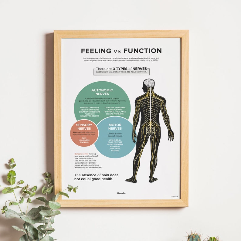 May include: An infographic poster with a black and white illustration of a human body with a nervous system diagram. The poster explains the difference between feeling and function and describes the three types of nerves: autonomic, sensory, and motor. The poster also includes text that says "The absence of pain does not equal good health."