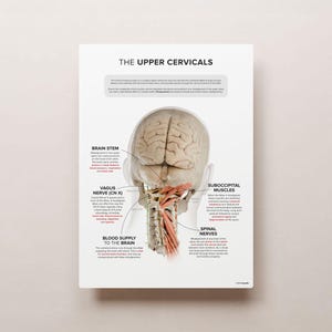 The Upper Cervicals