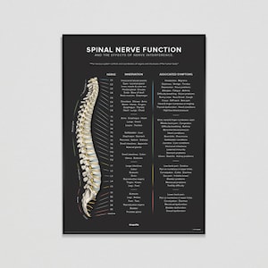 Spinal Nerve Function Chart (Dark)