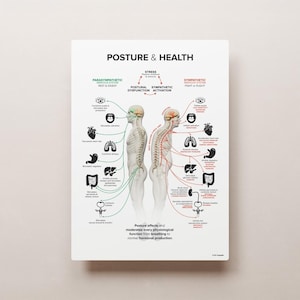 POSTURE & HEALTH