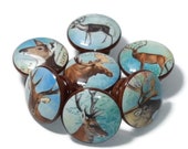 Vintage Deer and Moose Knob Sets of 2 or More Home Office Decor Drawer Knob Furniture Pull Farmhouse Knob 1.5 Wood Knob