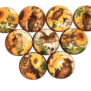 Handmade Sunflower and Owl Cabinet Knob Sets, Customizable Nature-Inspired Drawer Pulls