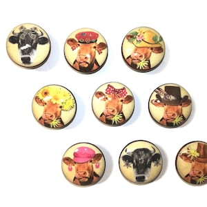 Cow Face Knobs & Pulls, Rustic Farmhouse Kitchen Cabinet Hardware, Customizable Knob Sets