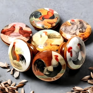 Farmhouse-Inspired Hens and Chicks Drawer Knobs, Customizable Cabinet Hardware, Charming Knob Sets