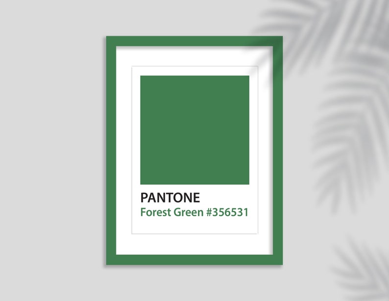 A3 Green Picture Frame Lilac A5 Photo Frame Blue A2 Photo Etsy