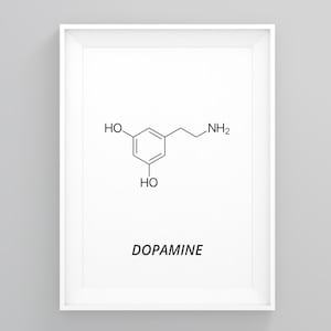 Dopamine Molecule Poster, Science Teacher Gift, Molecule Symbol, Rna Print Art, Home Wall Art, Abstract Wall Decor, Large Poster, Modern Art