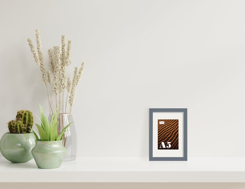 May include: A gray picture frame with a white mat and a brown and gold abstract image inside. The frame is sitting on a white shelf with a cactus, a succulent, and dried flowers in vases.