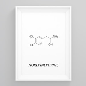 Norepinephrine Molecule Print, Science Wall Decor, Molecule Wall Art, Molecule Symbol, Scandinavian Art, Gift Ideas, Quote Wall Art, Poster