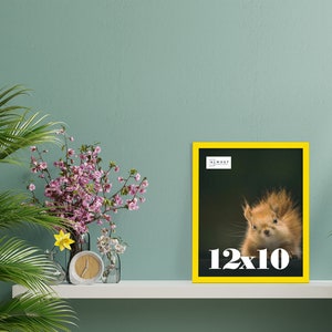 May include: A framed print with a yellow border featuring a close-up of a squirrel. The print is labeled "12x10" in white text. The background is dark green. The print is displayed on a white shelf with flowers and a clock.