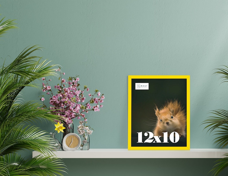 May include: A framed print with a yellow border featuring a close-up of a squirrel. The print is labeled "12x10" in white text. The background is dark green. The print is displayed on a white shelf with flowers and a clock.