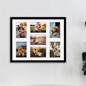 May include: A black framed multi-photo picture frame with seven rectangular openings, each containing a different photograph. The photos depict people, pets, and outdoor scenes. The frame is mounted on a white wall, with a large green plant to the right.