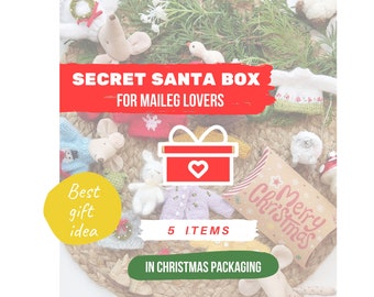 SECRET SANTA BOX for Maileg mouse lovers on Christmas, 5 items included: 2 sweaters, 2 pairs of boots, 1 toy pet / Big, Little Sister, Mom