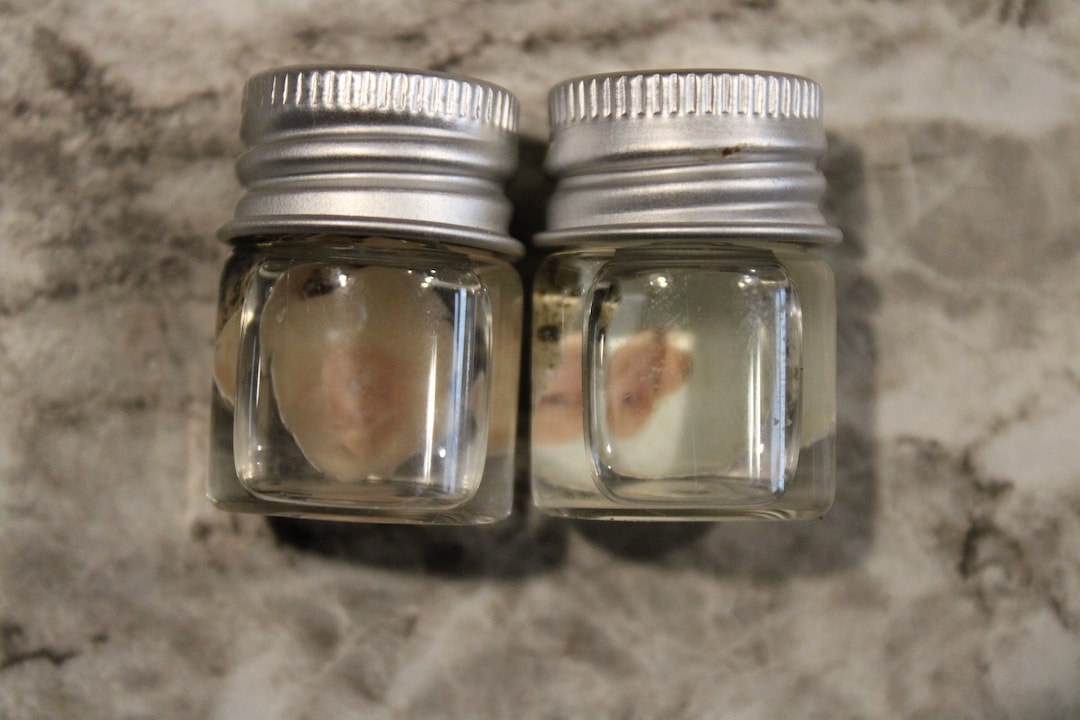Fresh Look at Wet Specimen Quail Chick Embryos