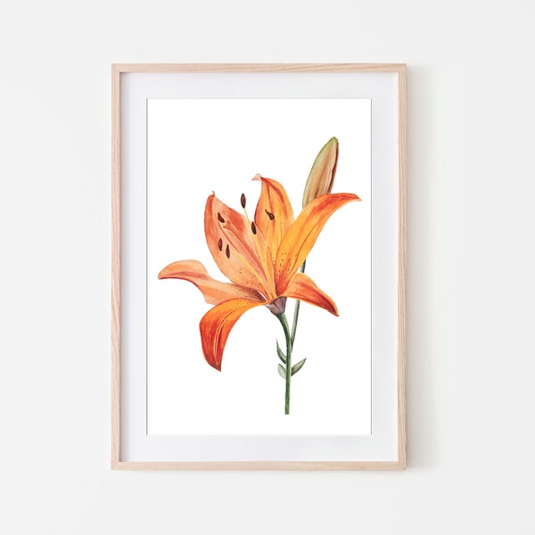 Lily Painting, Oranje Gele Lelie kunst, aquarel bloem schilderij florale aquarel, muur decoratie, Kamer Decor, Digitale Download