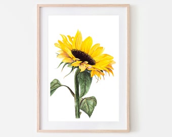 Sunflower Wall Decor, Warm Yellow Sunflower Painting, Watercolour Art, Floral Watercolor, Room Decor, Digital Download