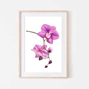 Orchid Wall Decor, Pink Purple Orchid Painting, Watercolour Art, Floral Watercolor, Room Decor, Digital Download