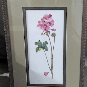 Peut inclure: Une impression botanique encadrée représentant une illustration à l'aquarelle d'une fleur de géranium rose avec des feuilles vertes. L'œuvre est encadrée dans un cadre marron foncé orné. Un pétale est tombé de la fleur.