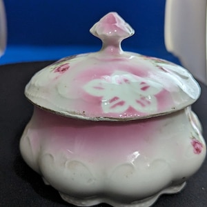 German BT Co RS Germany Porcelain Floral Sugar Bowl Scalloped Bottom Some Wear
