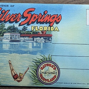 Cartão postal de atração internacional de Silver Spring Florida, 1946