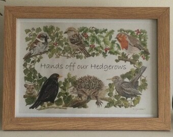 Save our Hedgerows Poster, Environment environmental art print, birds and hedgehog in hedgerow print, save the planet art, A3 or A4 print