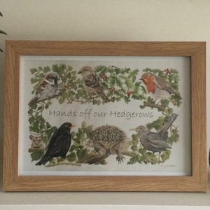 Save our Hedgerows Poster, Environment environmental art print, birds and hedgehog in hedgerow print, save the planet art, A3 or A4 print