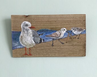 Rustic wood painting, Seagull and Sanderlings, unique reclaimed wood with original painting by Liz Waddell