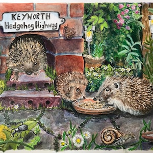 Hedgehog Highway Keyworth, biglietto d'auguri con ricci, grazioso giardino per gli amanti dei ricci