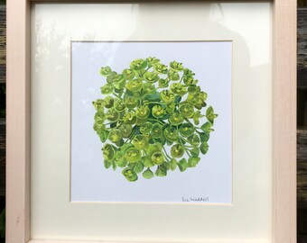 Bright Green Spurge (Euphorbia) Original Art Acrylic Painting by Liz Waddell