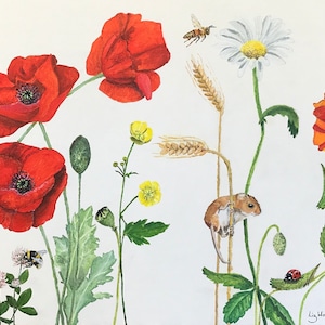 Biglietto d'auguri, topo di campagna, papaveri, api e trifoglio, stampato da un dipinto originale. Adatto per il Giorno della Memoria, compleanno, festa della mamma